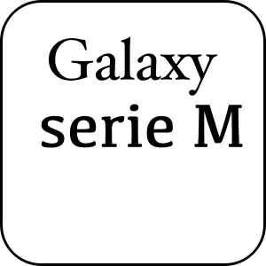 SERIE M