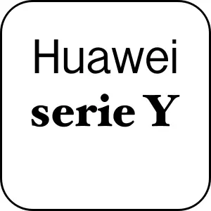Serie Y