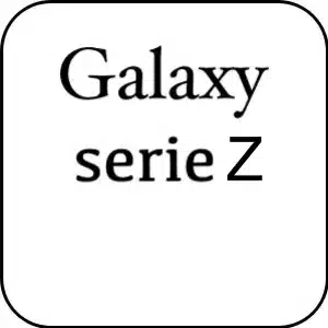 SERIE Z