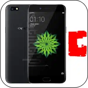 Oppo A77 roto arreglar placa base