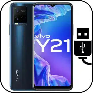 Cambiar Conector de Carga Vivo Y21
