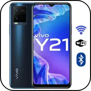 Reparar Problemas de Conexión Vivo Y21